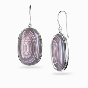 Botswana Agate Drop Earrings