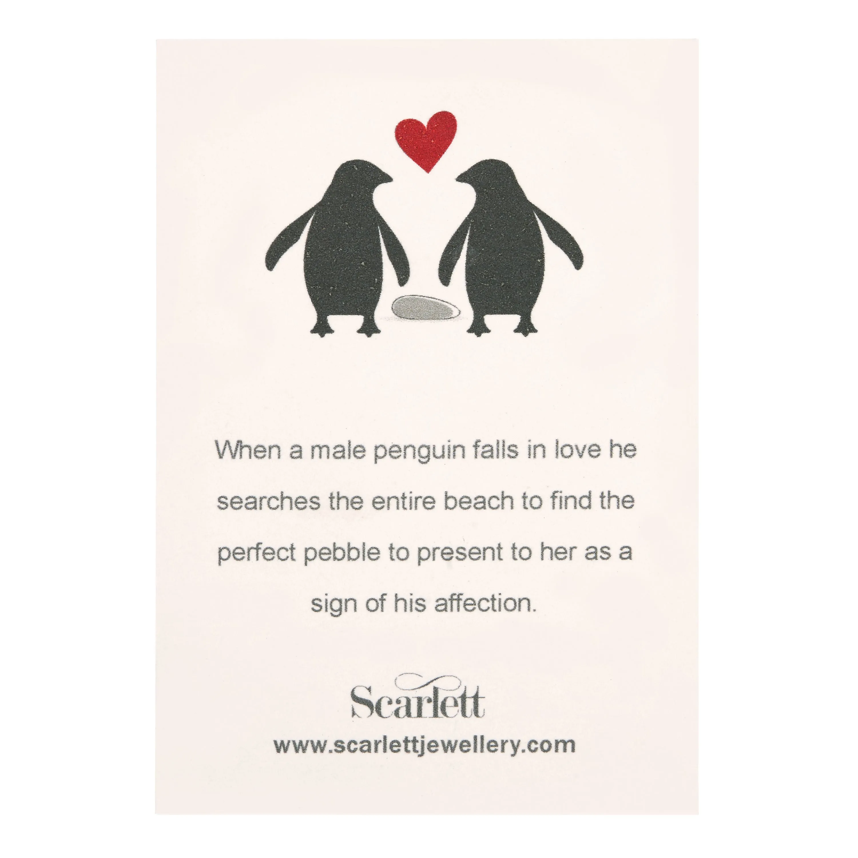 Penguin & Pebble Love Token Personalised Silver Necklace